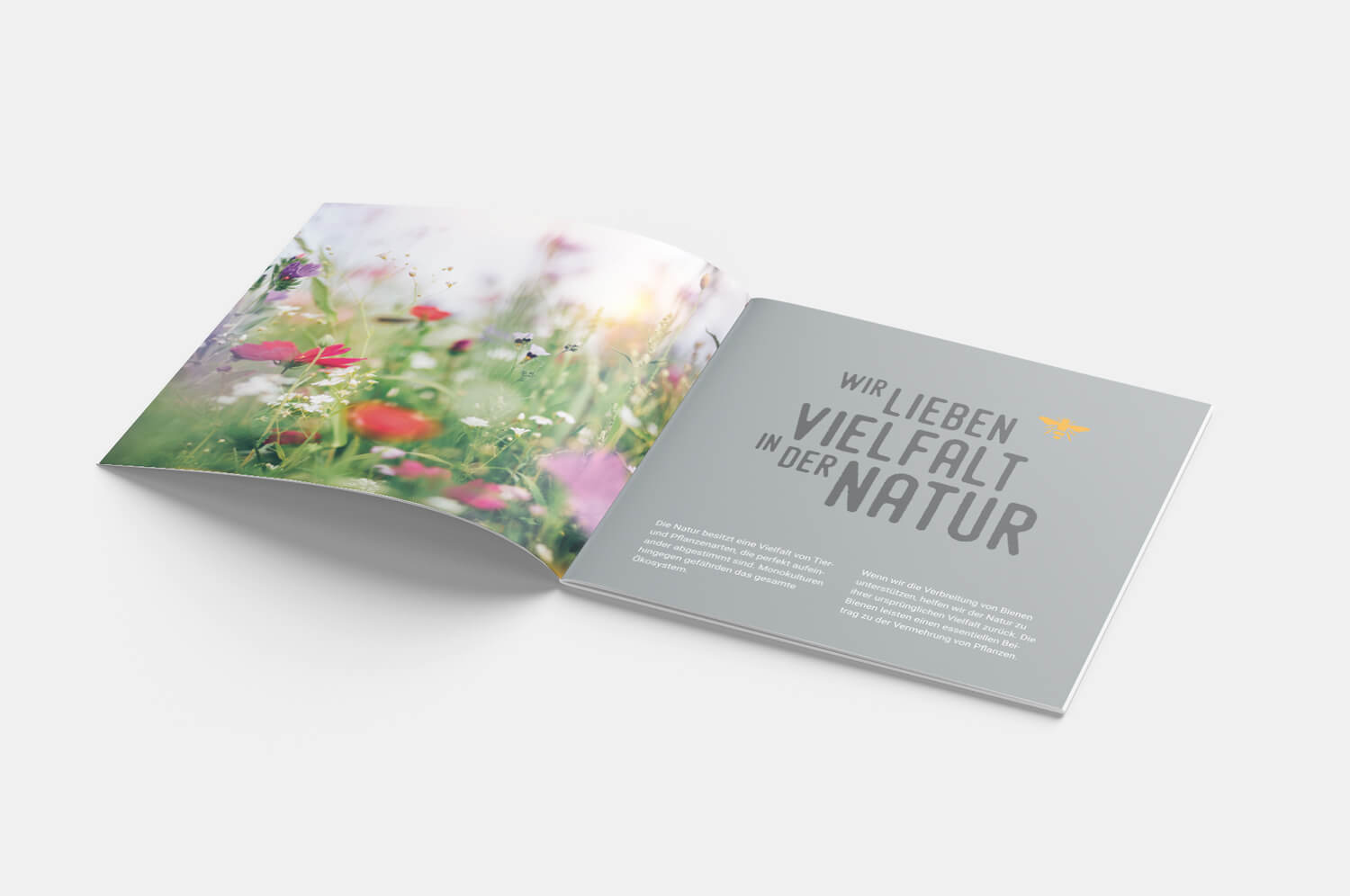 Flyergestaltung Schell & Söhne